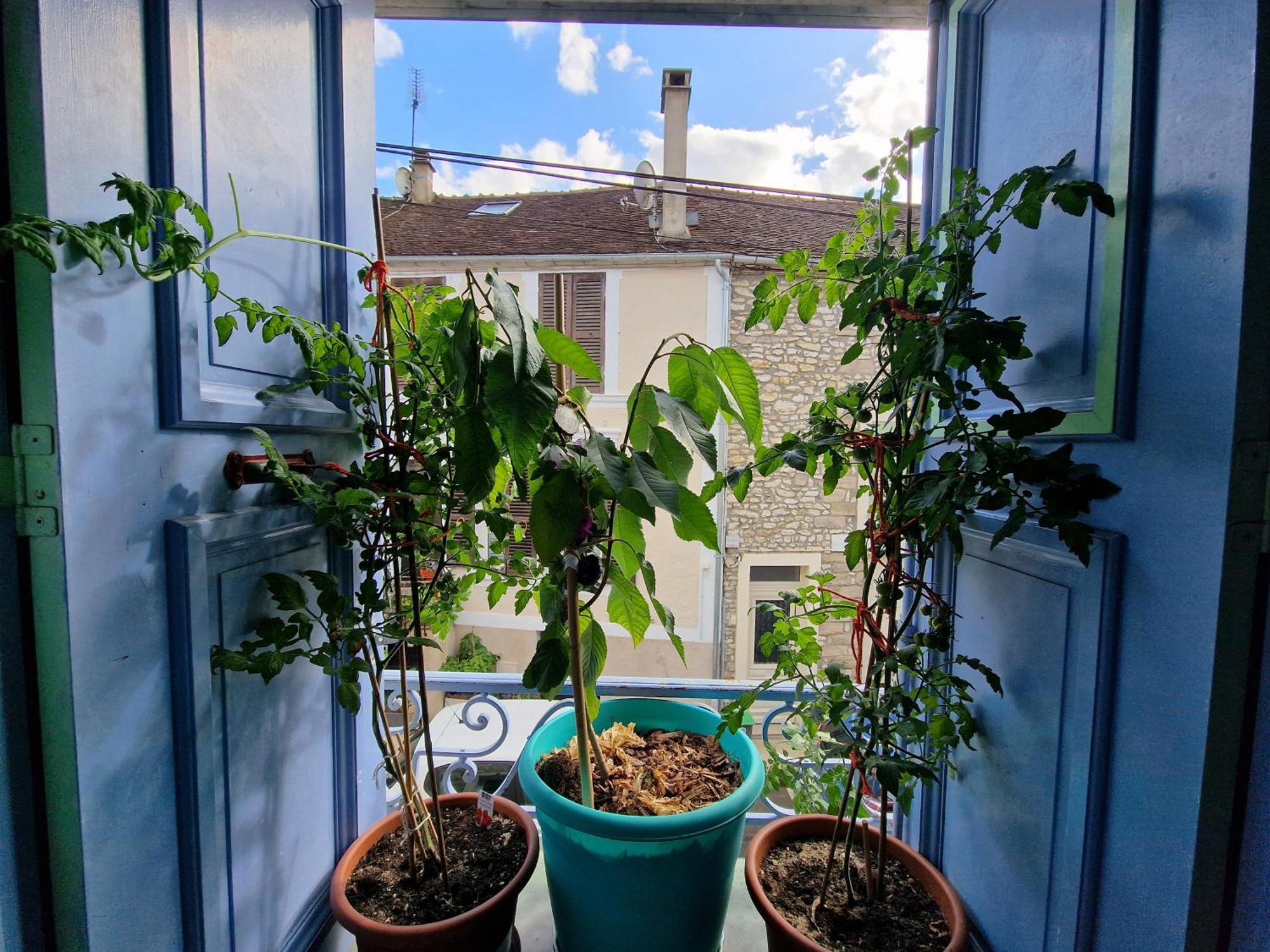 Chez Mamichou Apartment Moret-sur-Loing Luaran gambar